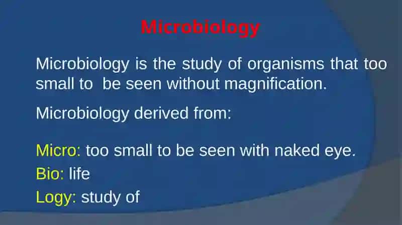 Microbiology Lecture 1 3