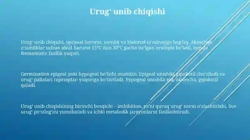 Urugʻlarning unib chiqishi maysalarning tuzilishi 3
