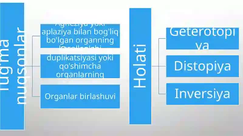 Qon-tomir tug'ma rivojlanish nuqsonlari 3