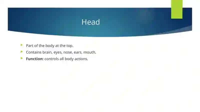 Parts of the Body 3