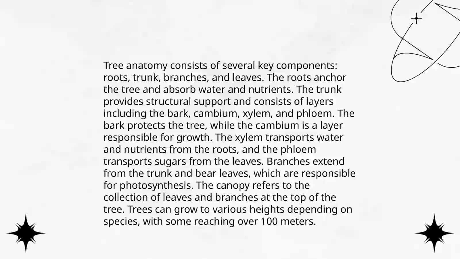Trees 3
