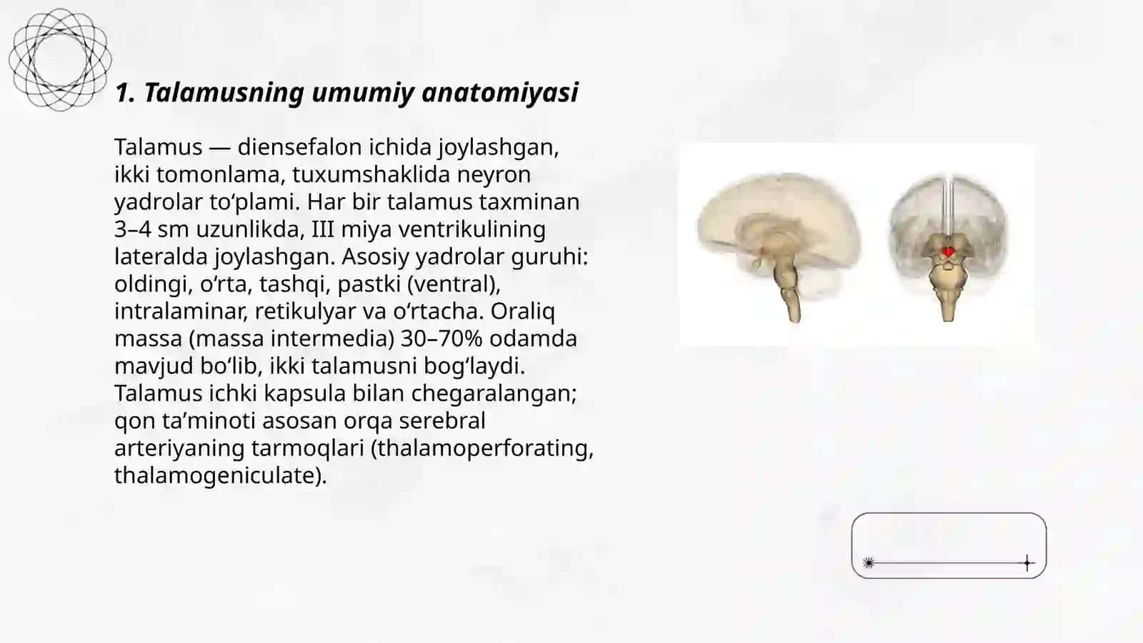 Talamus va gipotalamus haqidagi tushunchalar 3
