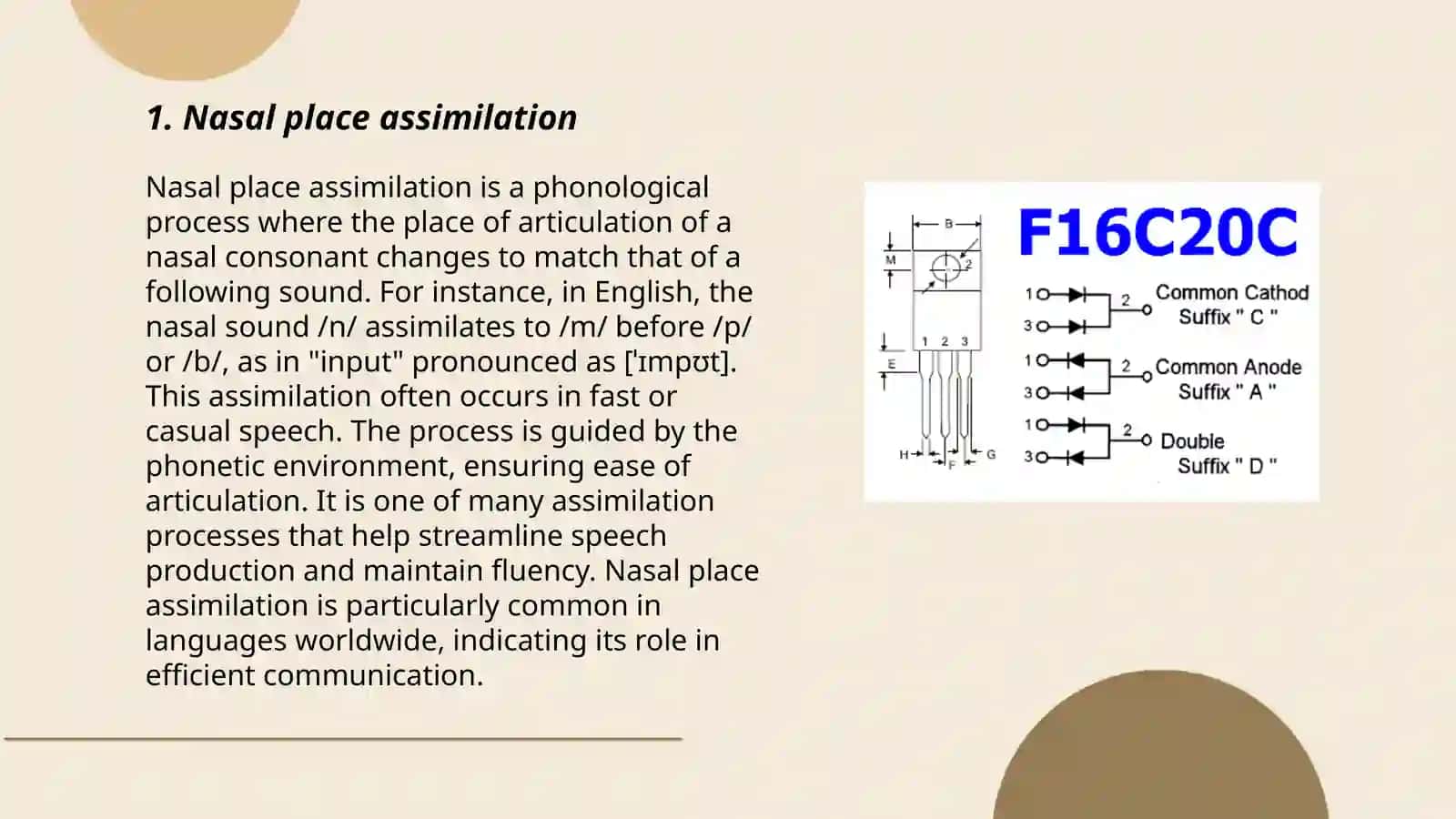Phonological Rules 3