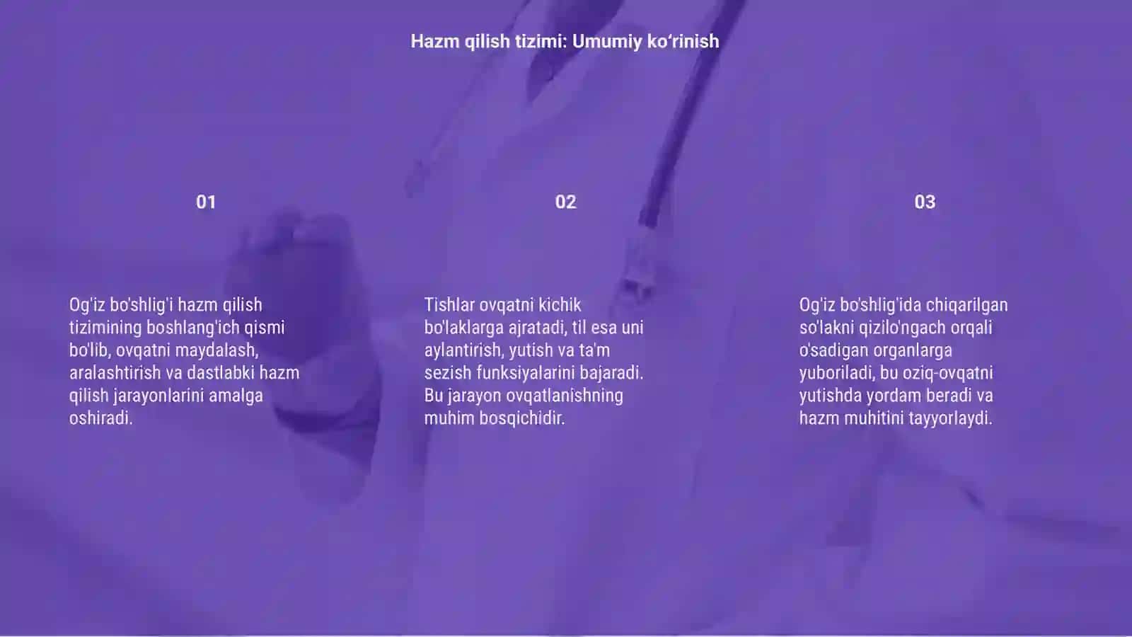 Hazm qilish sistemasi og'iz bo'shlig'i 3