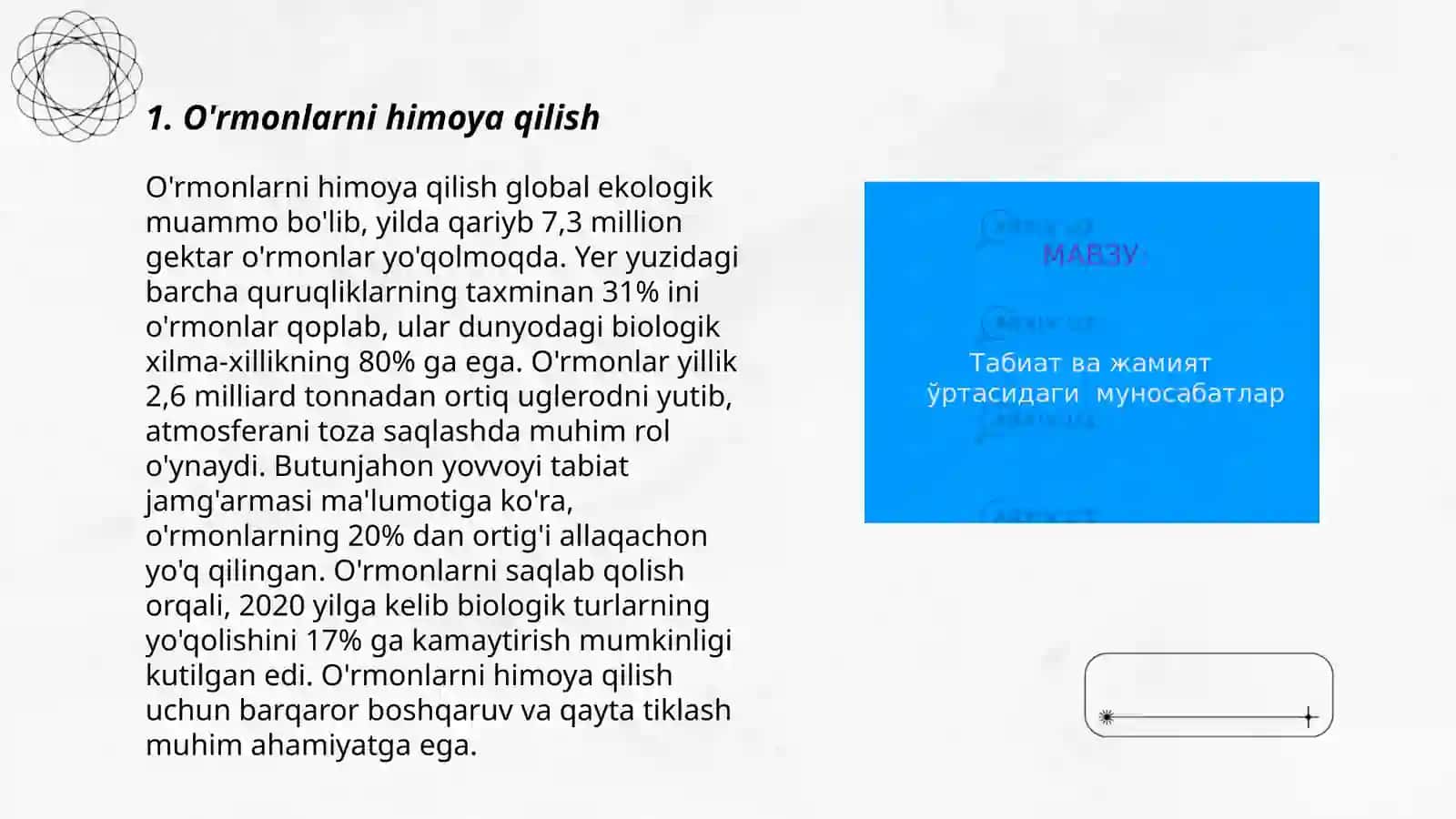 O'rmonlarni himoya qilish 3