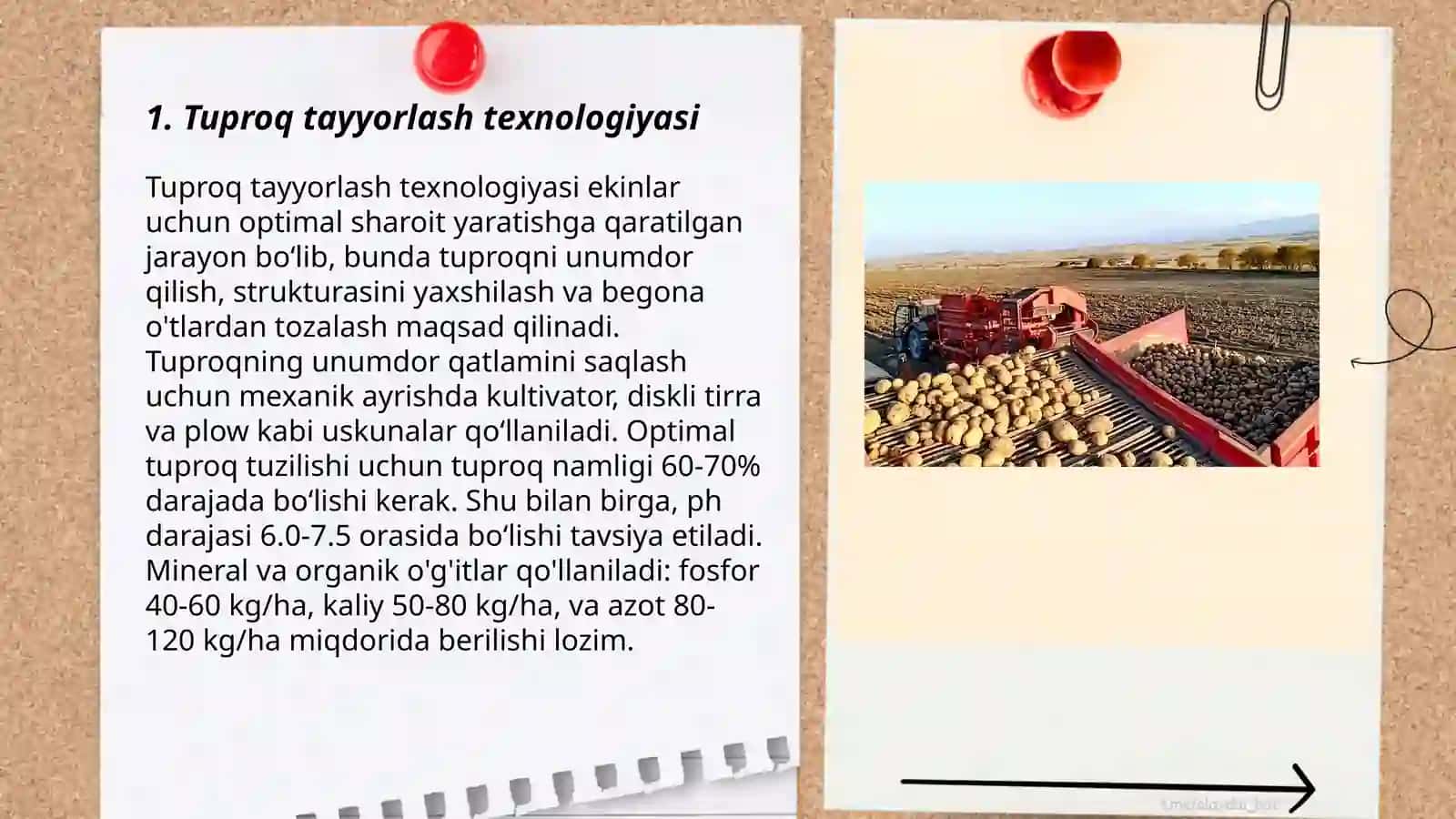 Tuproq tayyorlash texnologiyasi 3
