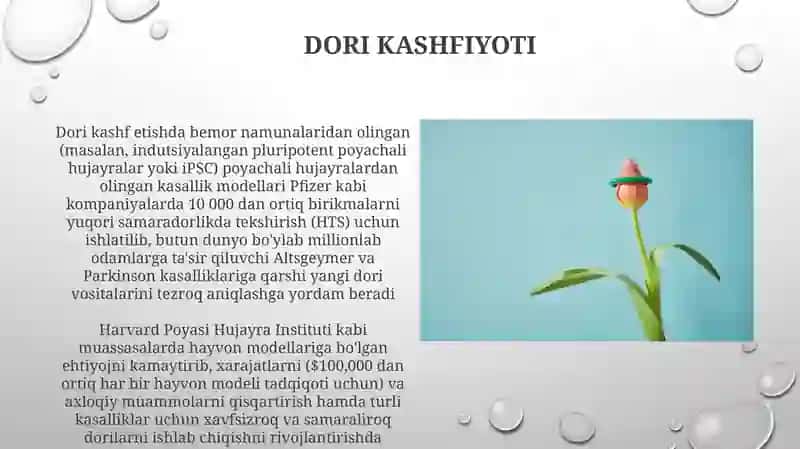 Poyali hujayra terapiyalari 3