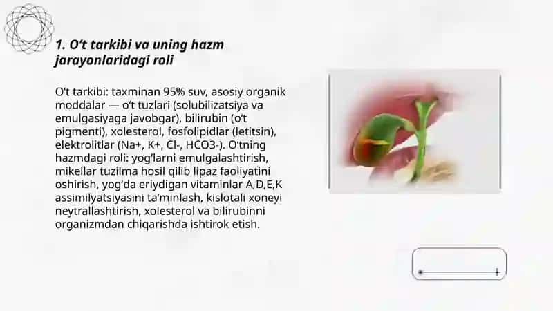 Oʻtning hazm jarayonlarda ishtirok 3