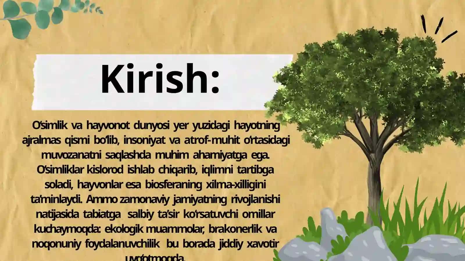 O‘simlik va hayvonot dunyosini muhofaza qilish va undan foydalanishning huquqiy tartibi 3
