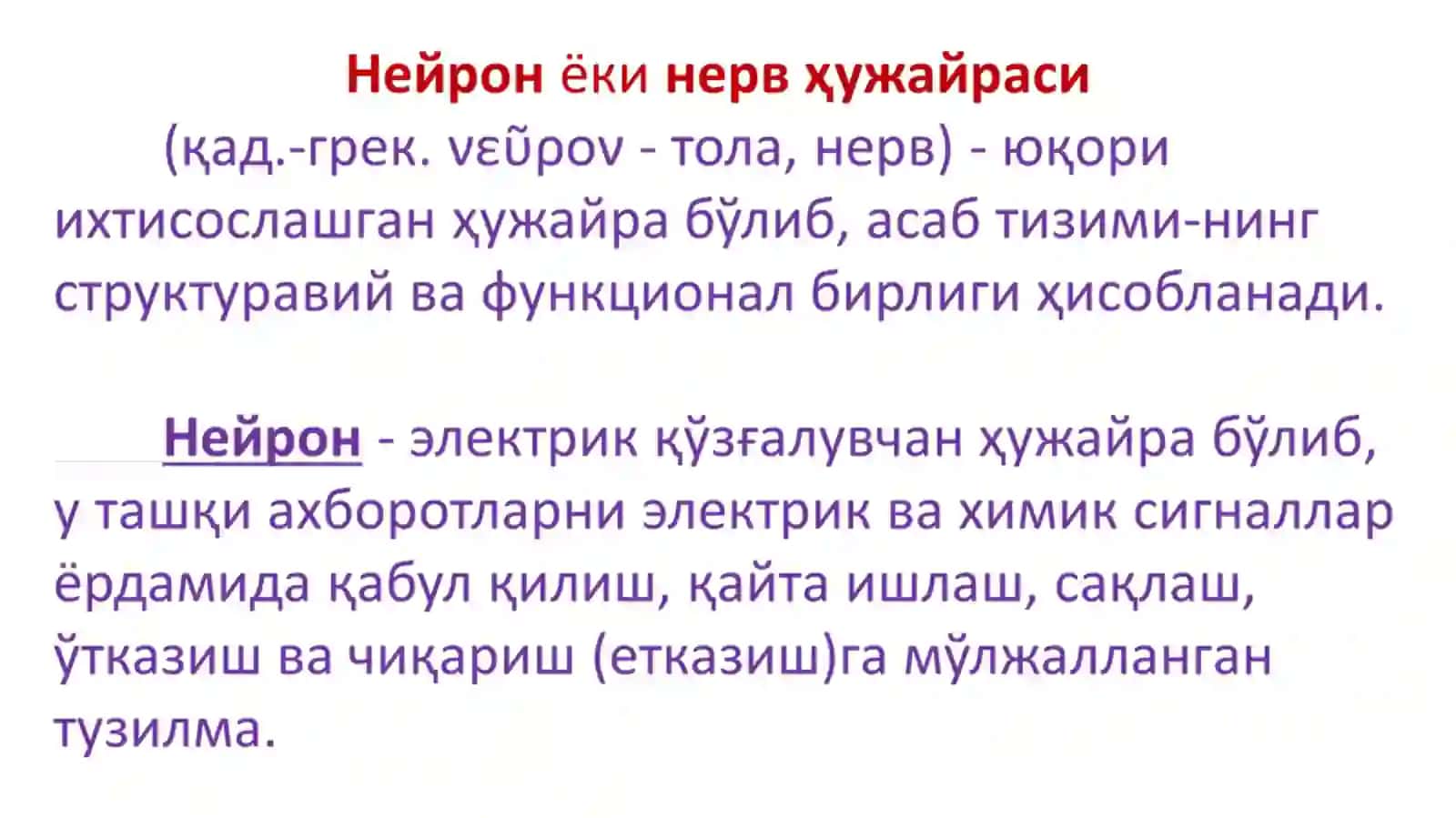 Нерв толалари, мускул (мушак)лар ва синапслар физиологияси 3