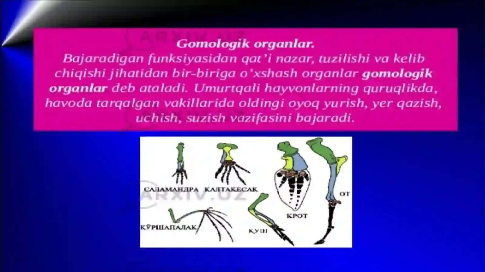 Anologik va gomologik organlar 3