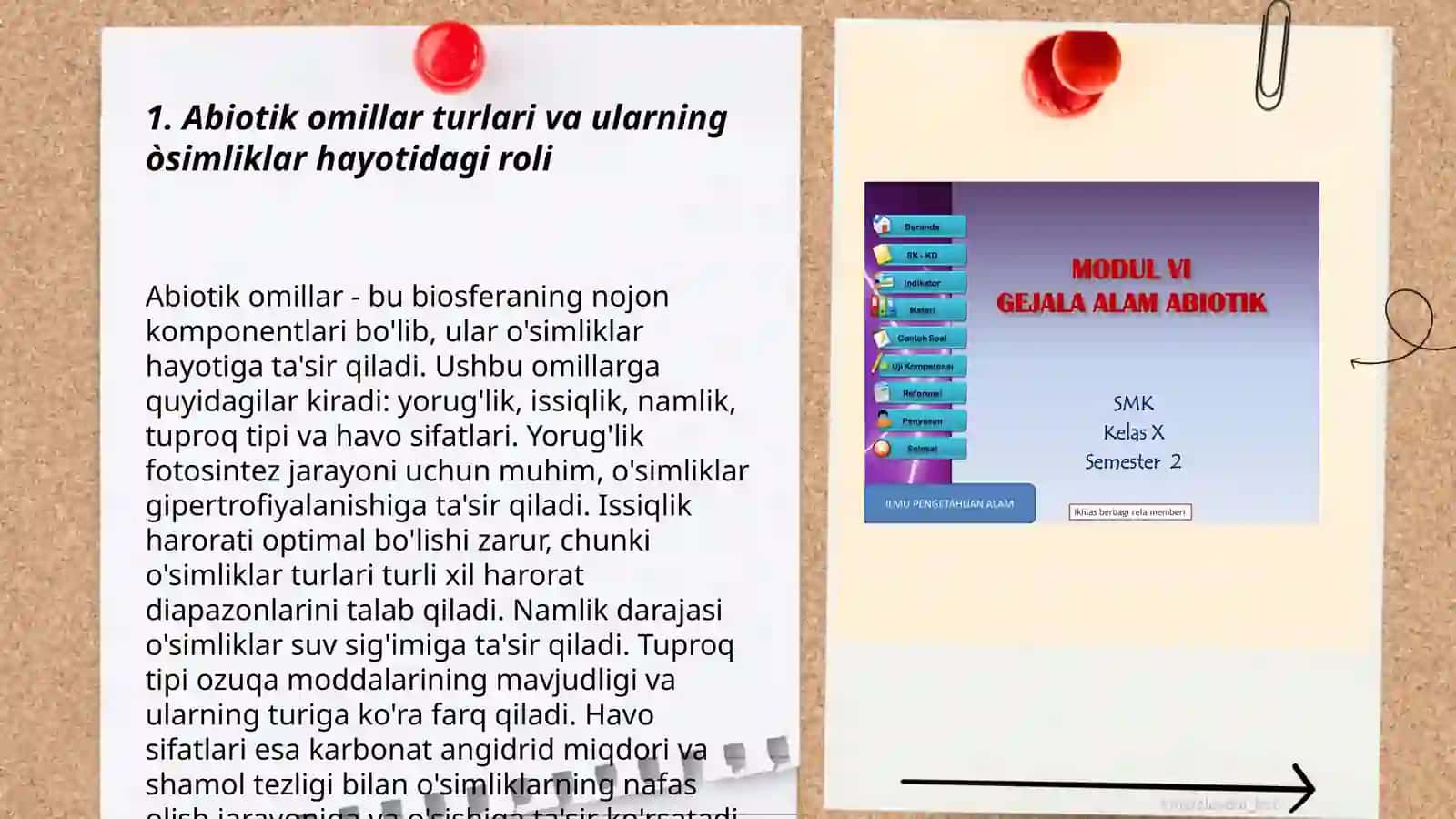 Abiotik va biotik ekologik omillar va ularning tabiatda òsimliklarining tarqalishidagi ahamiyati 3