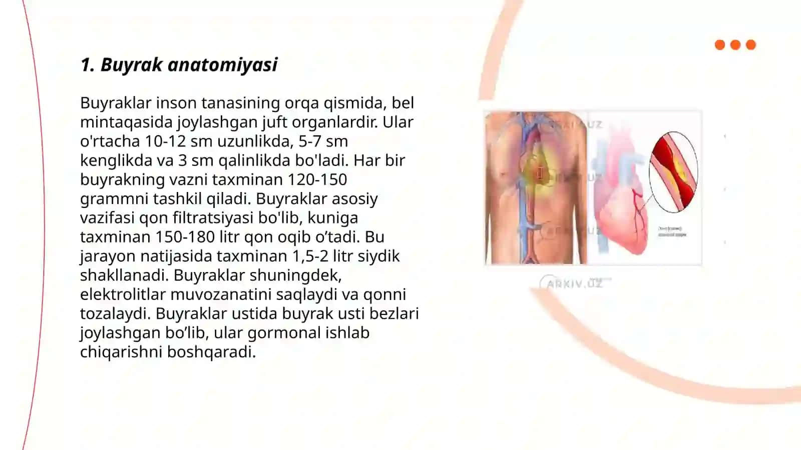 Buyrak kasalliklari 3