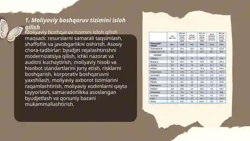 Xo‘jalik yurituvchi subyektlarni moliyaviy isloh qilish 3