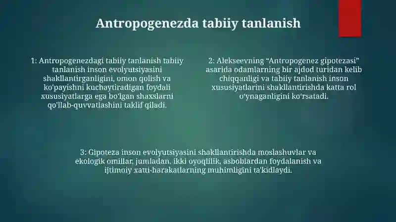 Antropogenezda Inson Evolutsion Mexanizmining Gipotezasi (V.P.Alekseev) 3