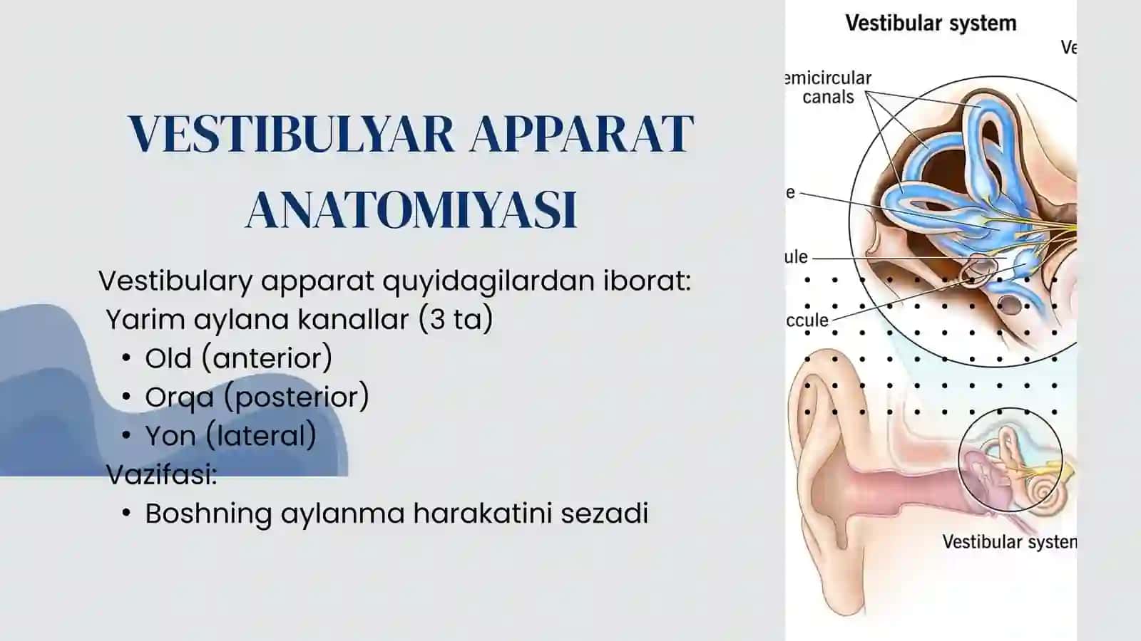NISTAGM VA UNING TURLARI 3