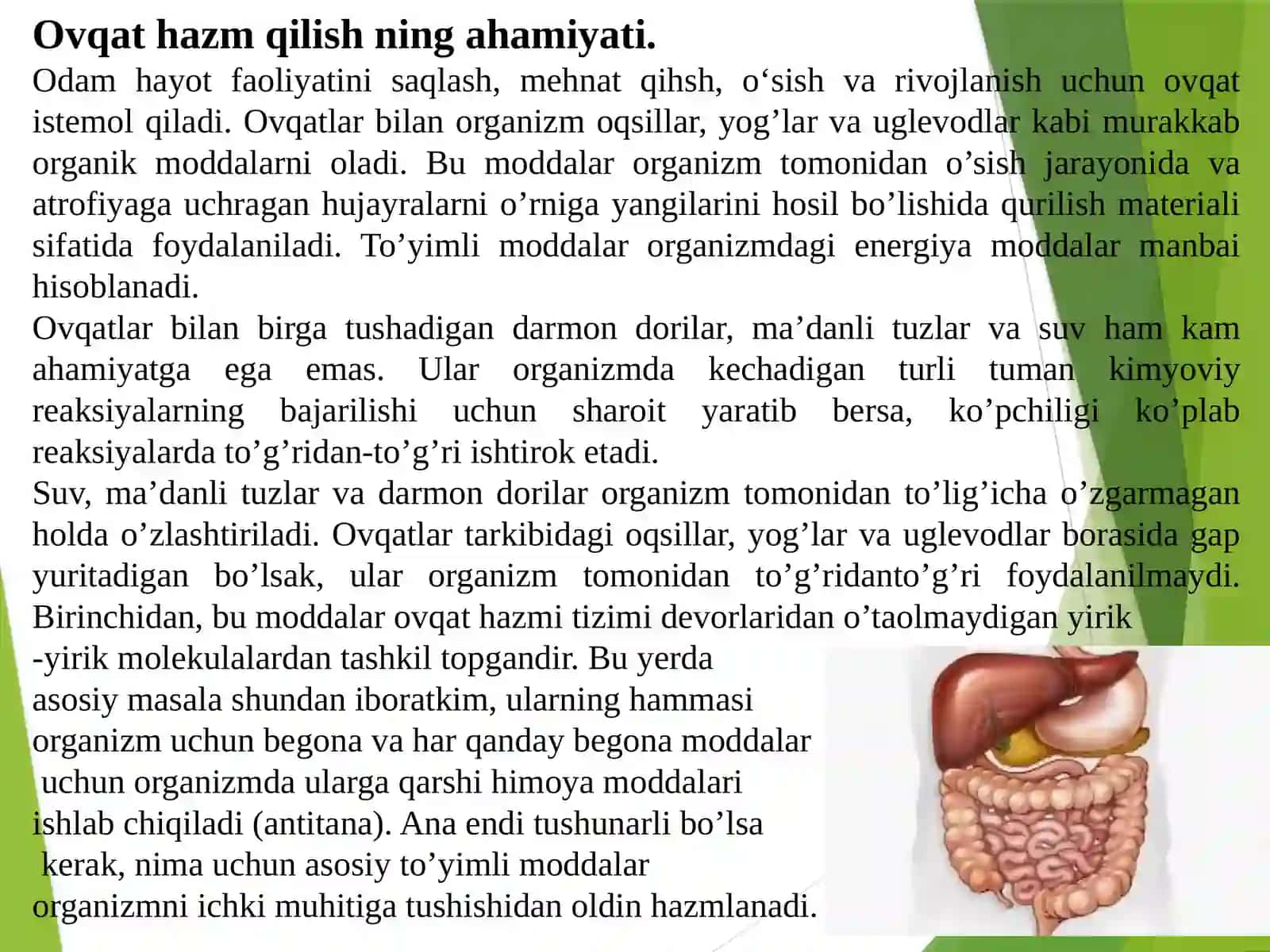 MA’RUZA. Ovqat hazm qilish tizimifiziologiyasining yosh xususiyatlari 3