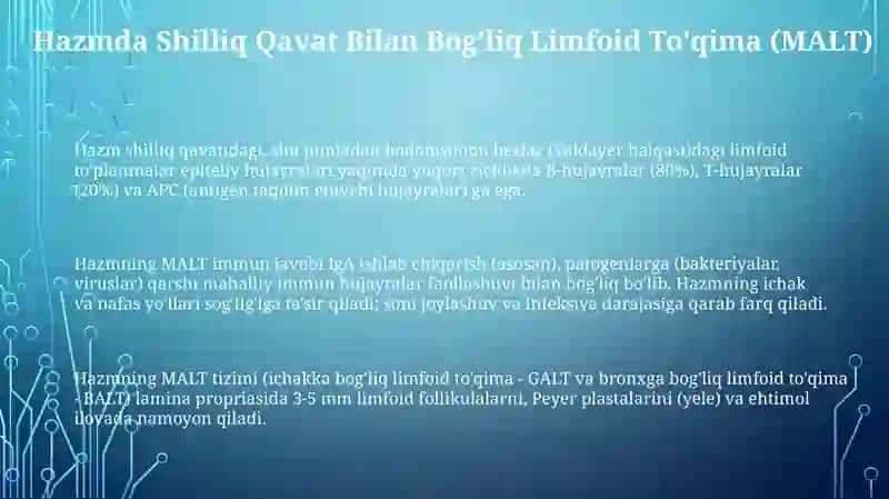 Hazm nayining limfoid tuzilmalari 3