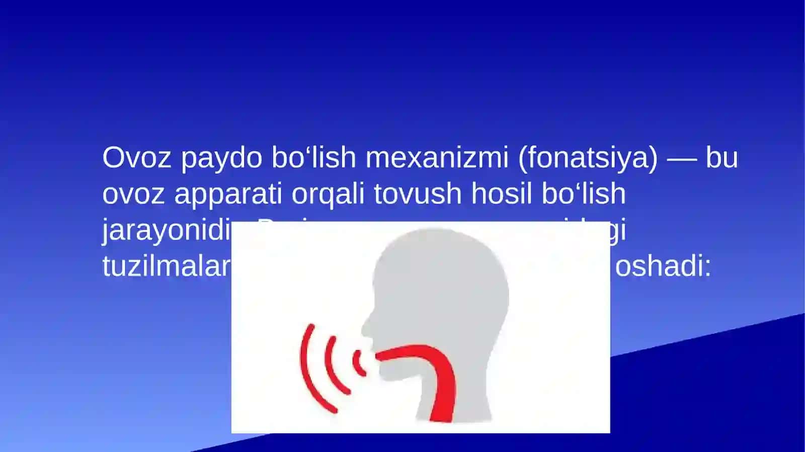 ovoz paydo boʻlish mexanizmi 3