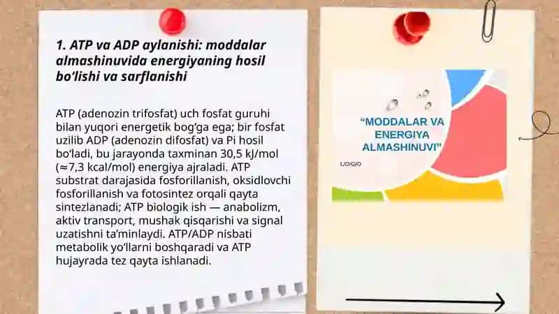 Moddalar almashinuvi jarayonida energiyaning hosil bo'lishi va sarflanishi 3