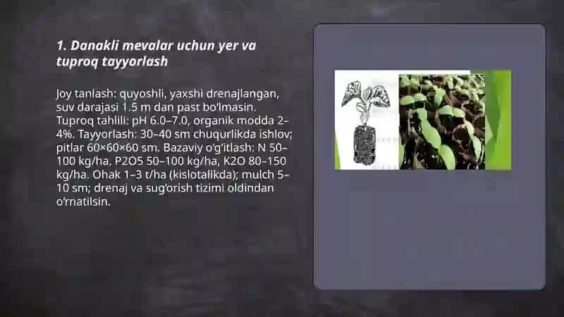 Danakli mevalarni yetishtirish va ularga shakl berish texnalogiyasi 3