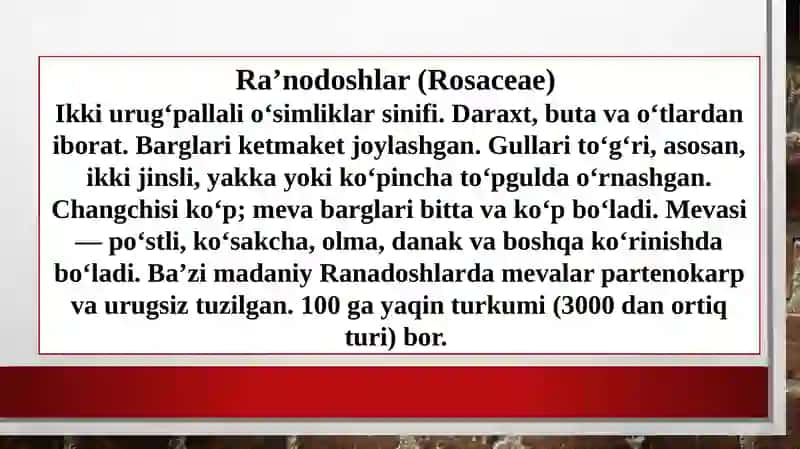 Raʼnodoshlar oilasi (Rosaceae) 3