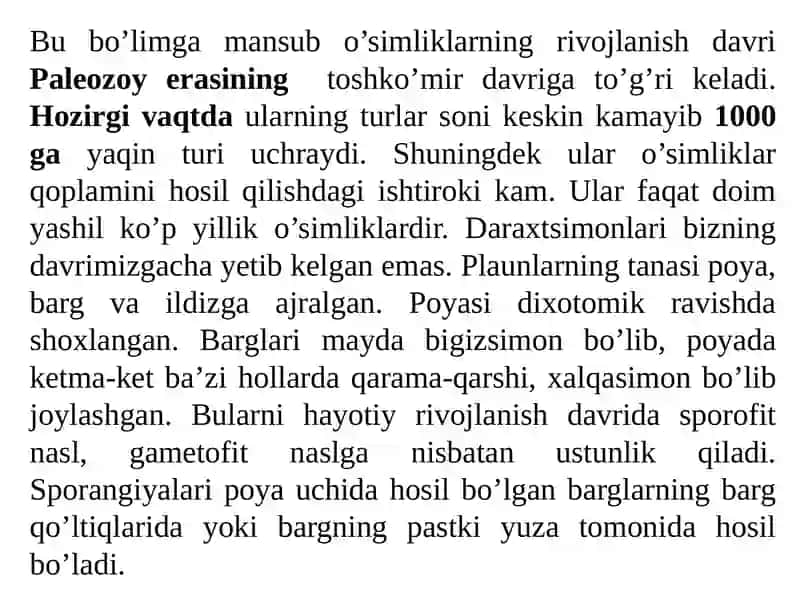 ПЛАУНТОИФА (LYCOPODIOPHYTA) ЎСИМЛИКЛАР БЎЛИМИ 3
