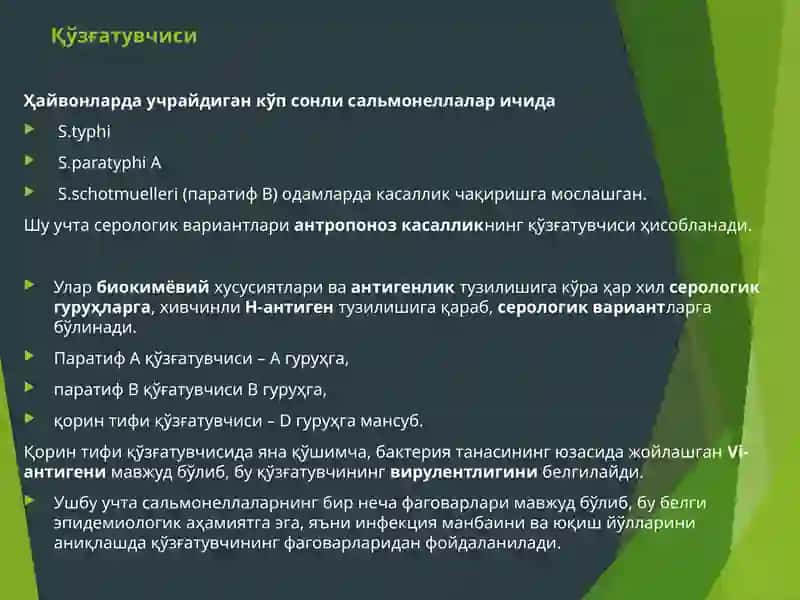 ҚОРИН ТИФИ ВАПАРАТИФЛАР эпидемиологияси ва профилактикаси 3