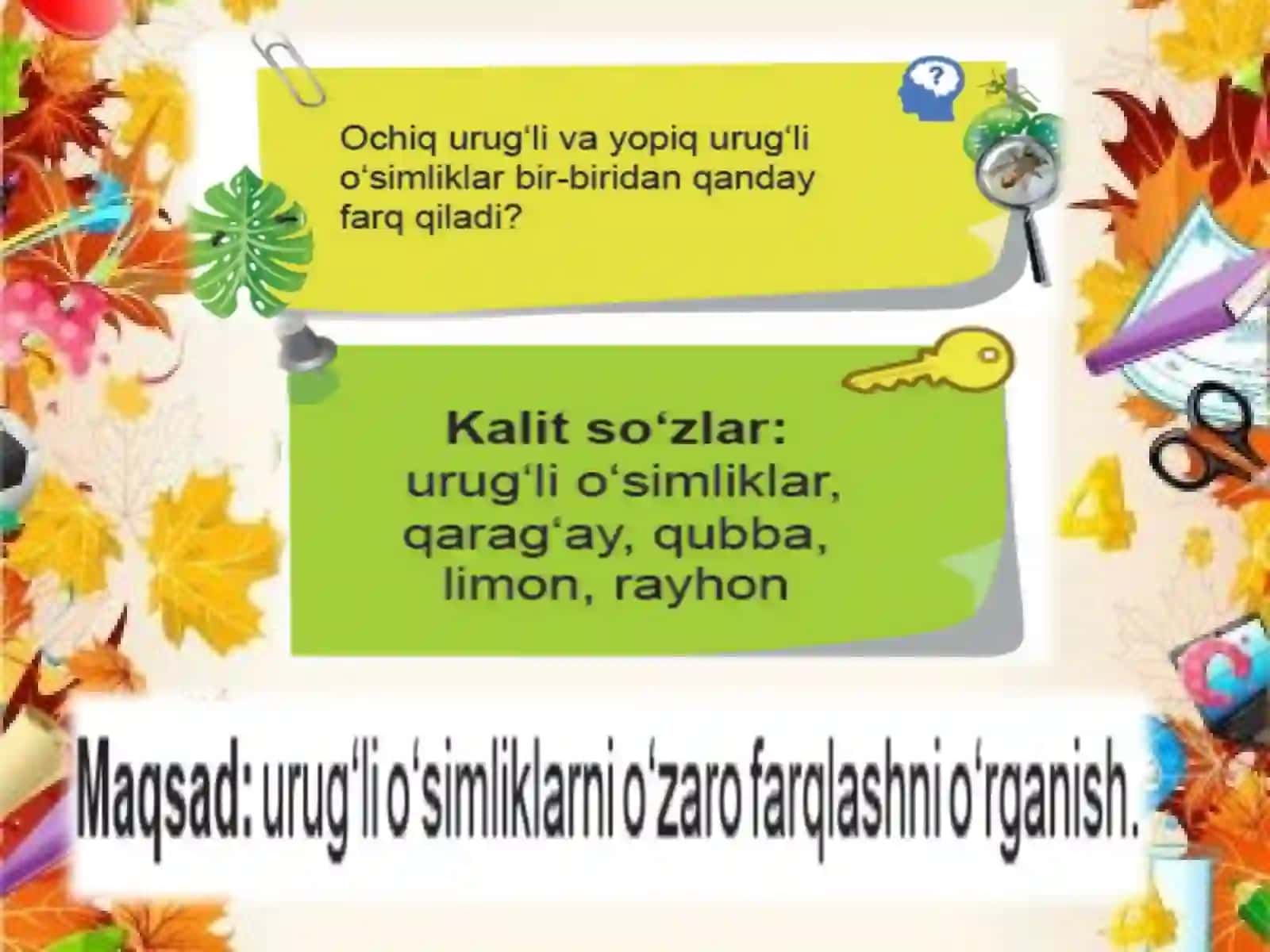 3-sinf Tabiiy Fan (Science) O'simliklarning xilma-xilligi dars ishlanma va taqdimot 3