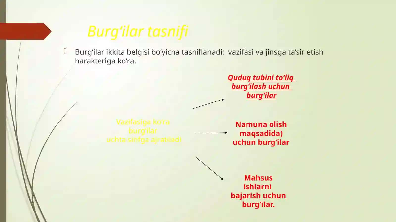 Burg`ulashishlarimexanikyorishshag`alkonlaridaqazishyuklashishlari 3