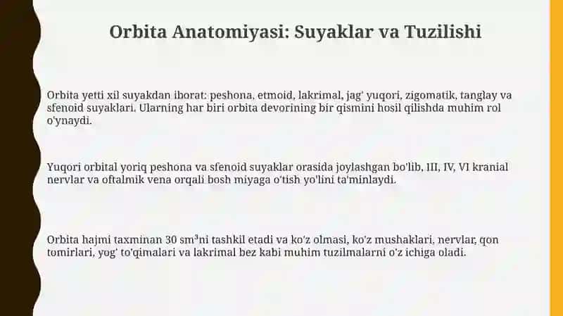 Ko'z kosasi va burun bo'shlig'i anatomiyasi 3