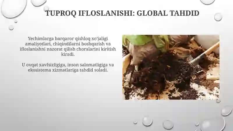 Tuproq Resurslarining Ifloslanishi 3