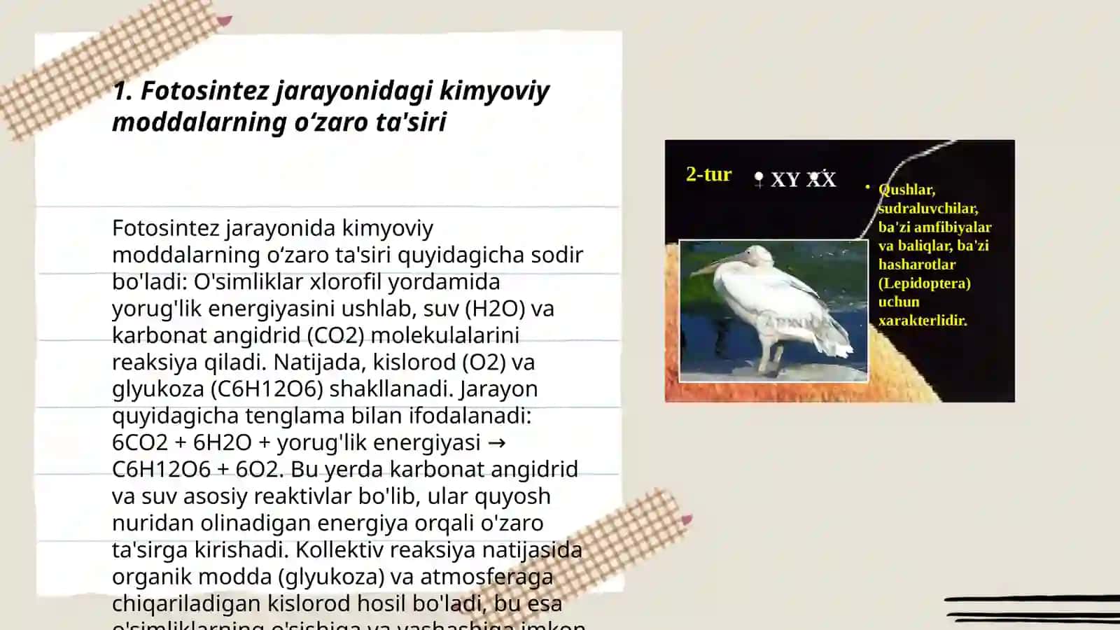 Biologiyani oʻqitishda kimyo fani bilan fanlararo bogʻlanishni amalga oshirish yoʻllari 3