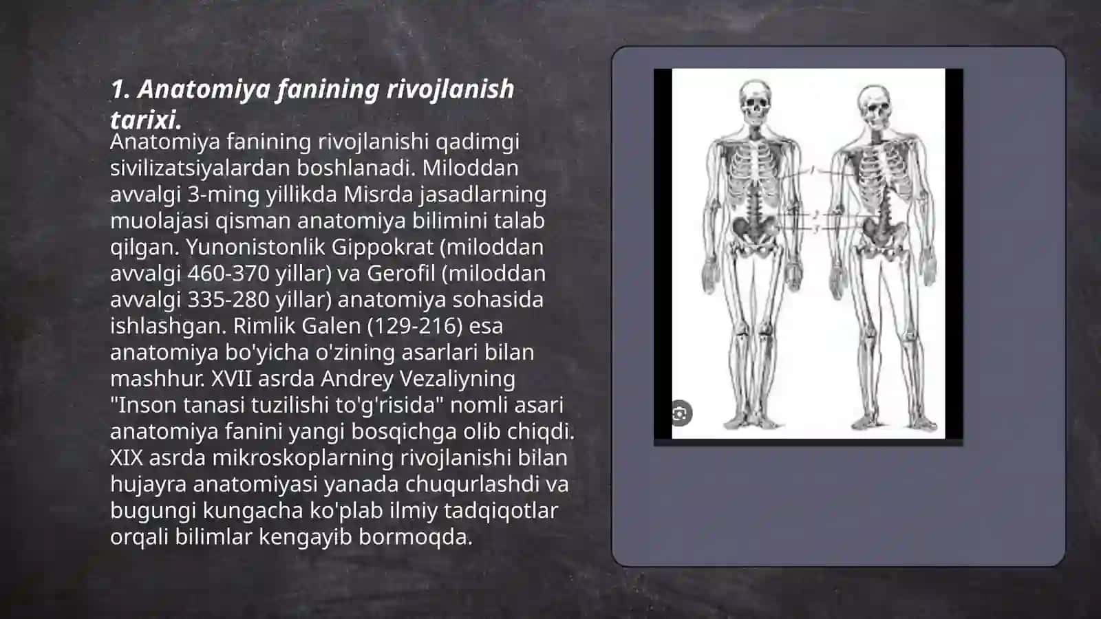 Anatomiya faning rivojlanish tarixi va boshqa fanlar bilan aloqasi 3