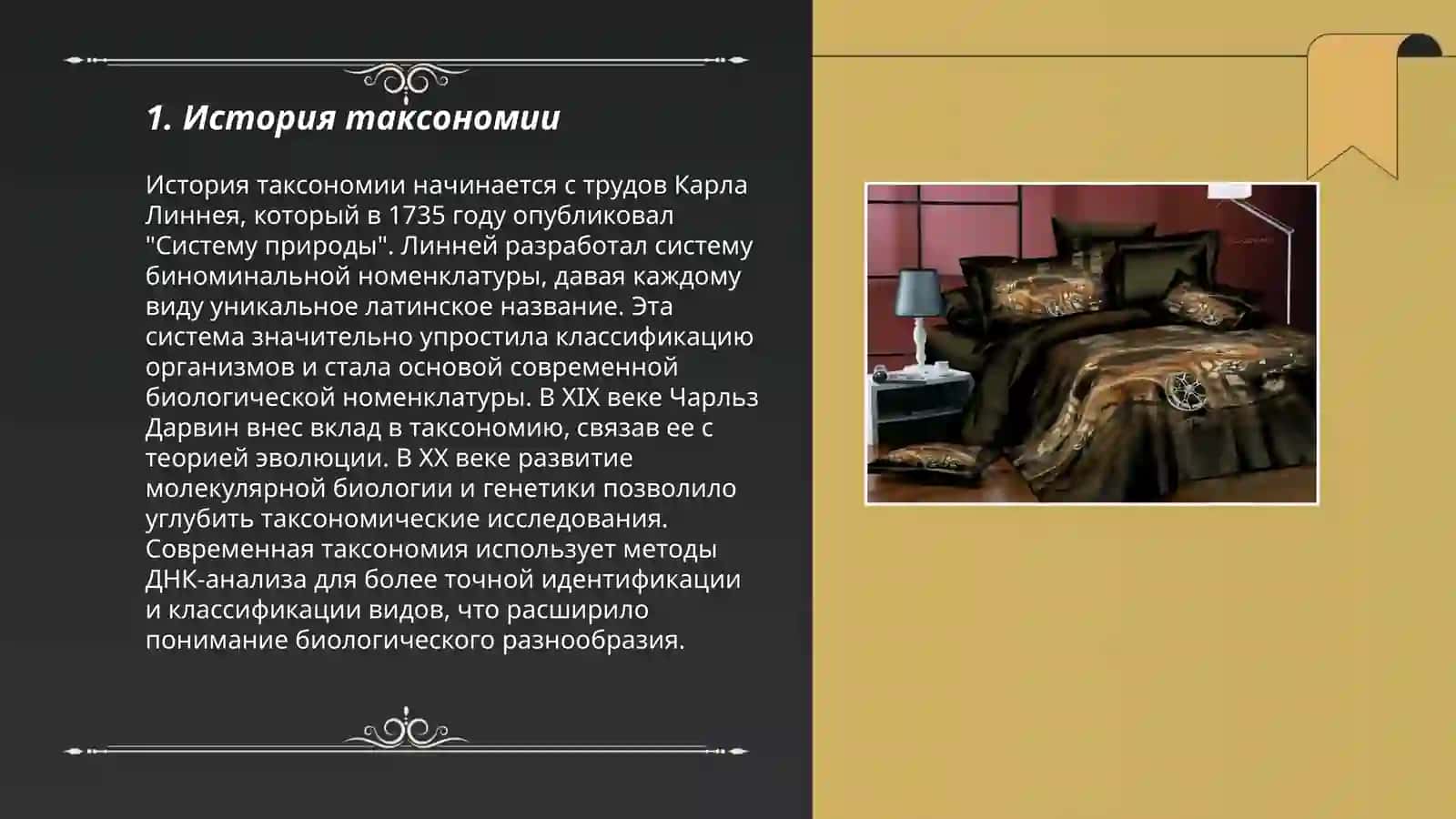 Таксономическая типология 3