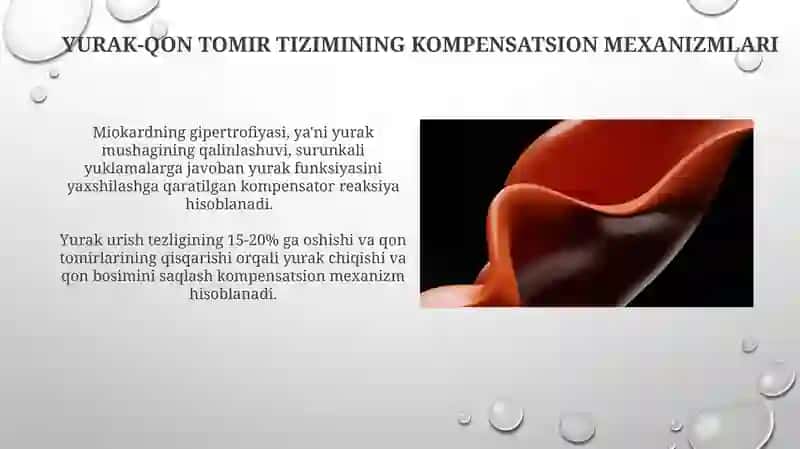 Yurak qon tomir tizimi kompensator va regenerator 3