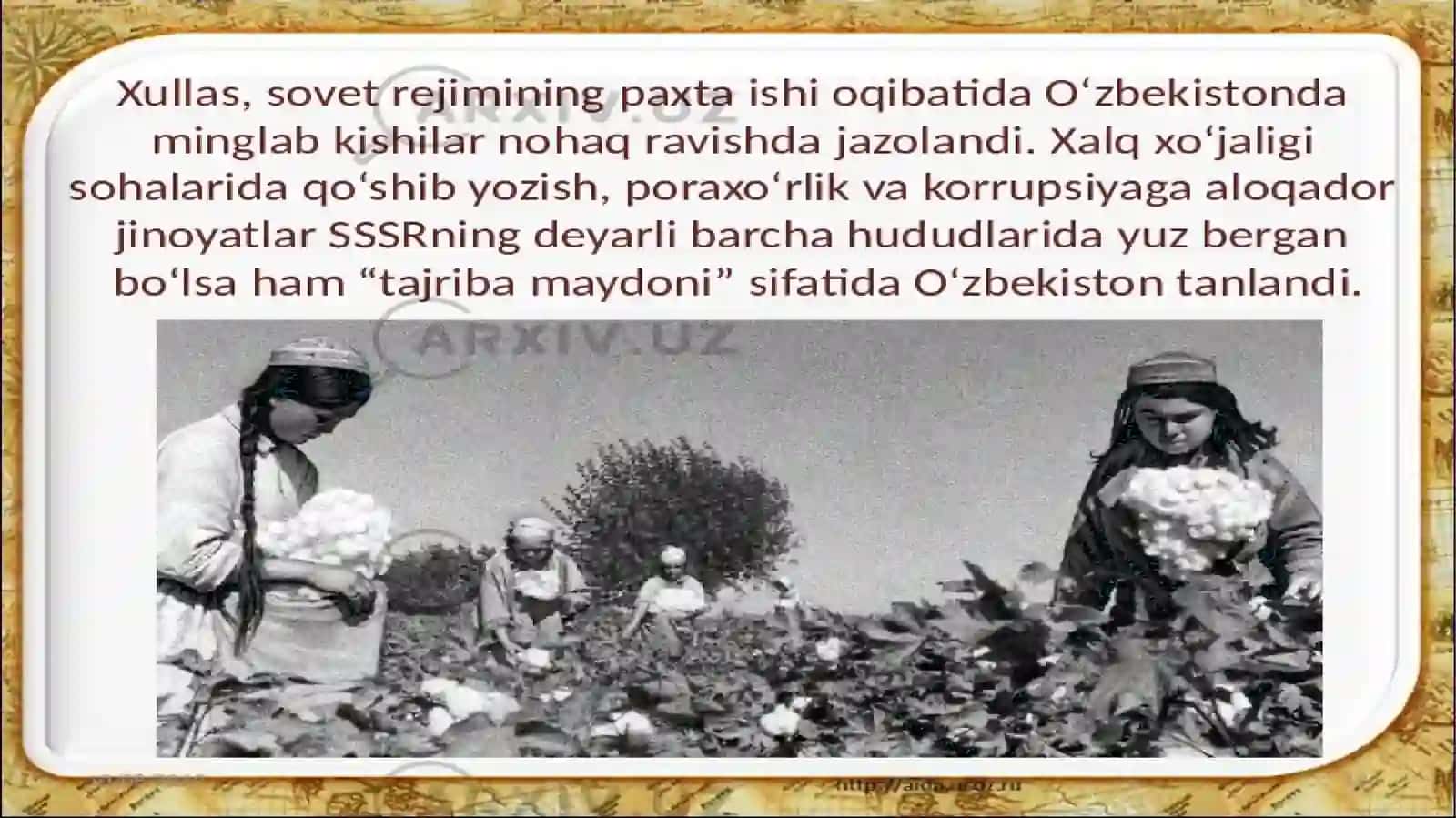 “Paxta ishi” ning boshlanishi 3