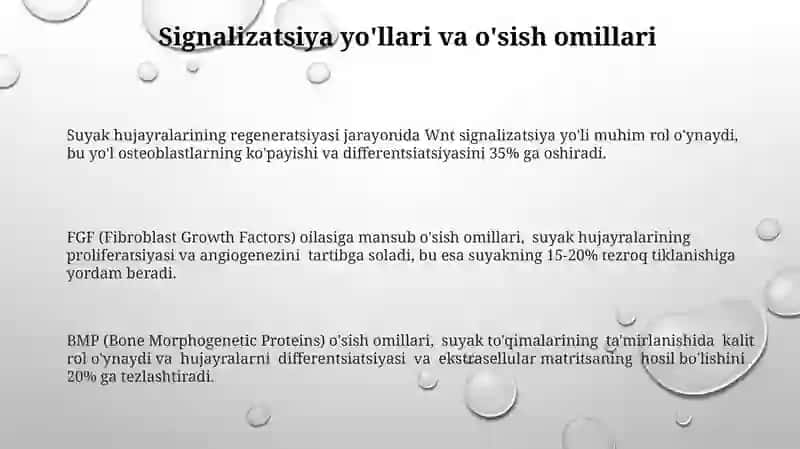 Qon hujayralariining fizologikva reparativ regeneratsiya mexanizmi 3