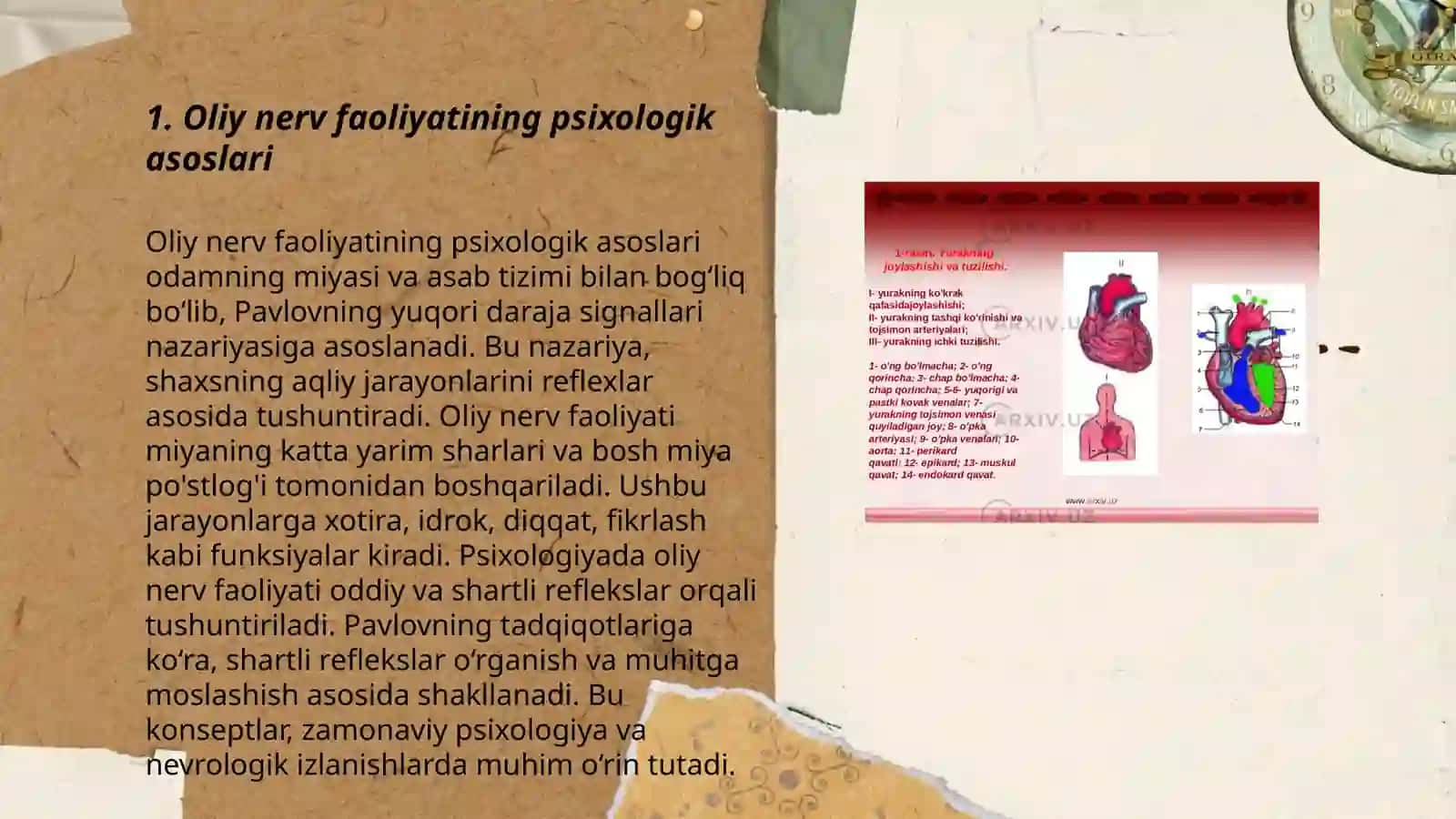 Oliy nerv faoliyatining psixologik asoslari 3