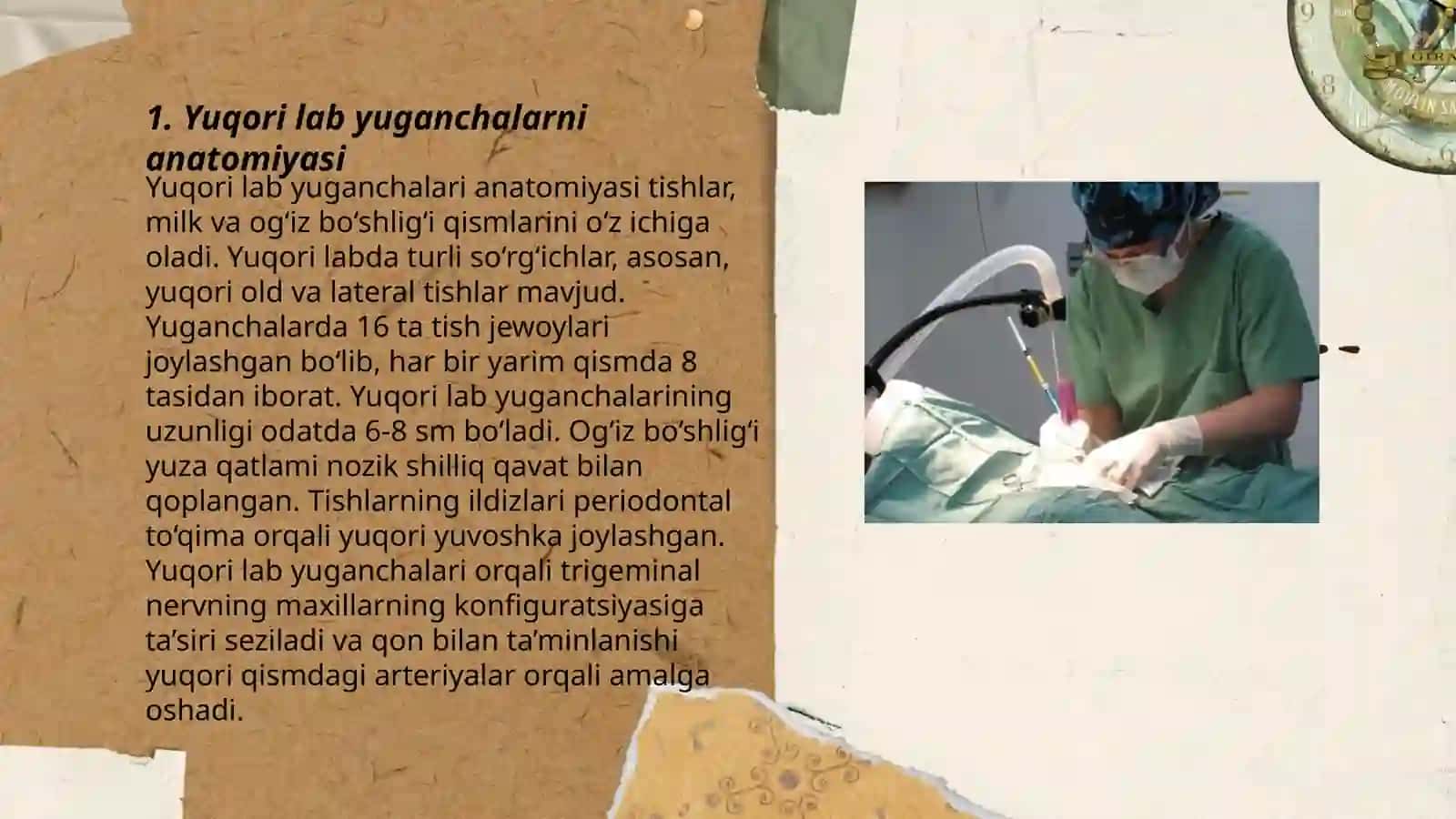 Yuqori lab yuganchalarni frenumining plastic jarrohligi 3