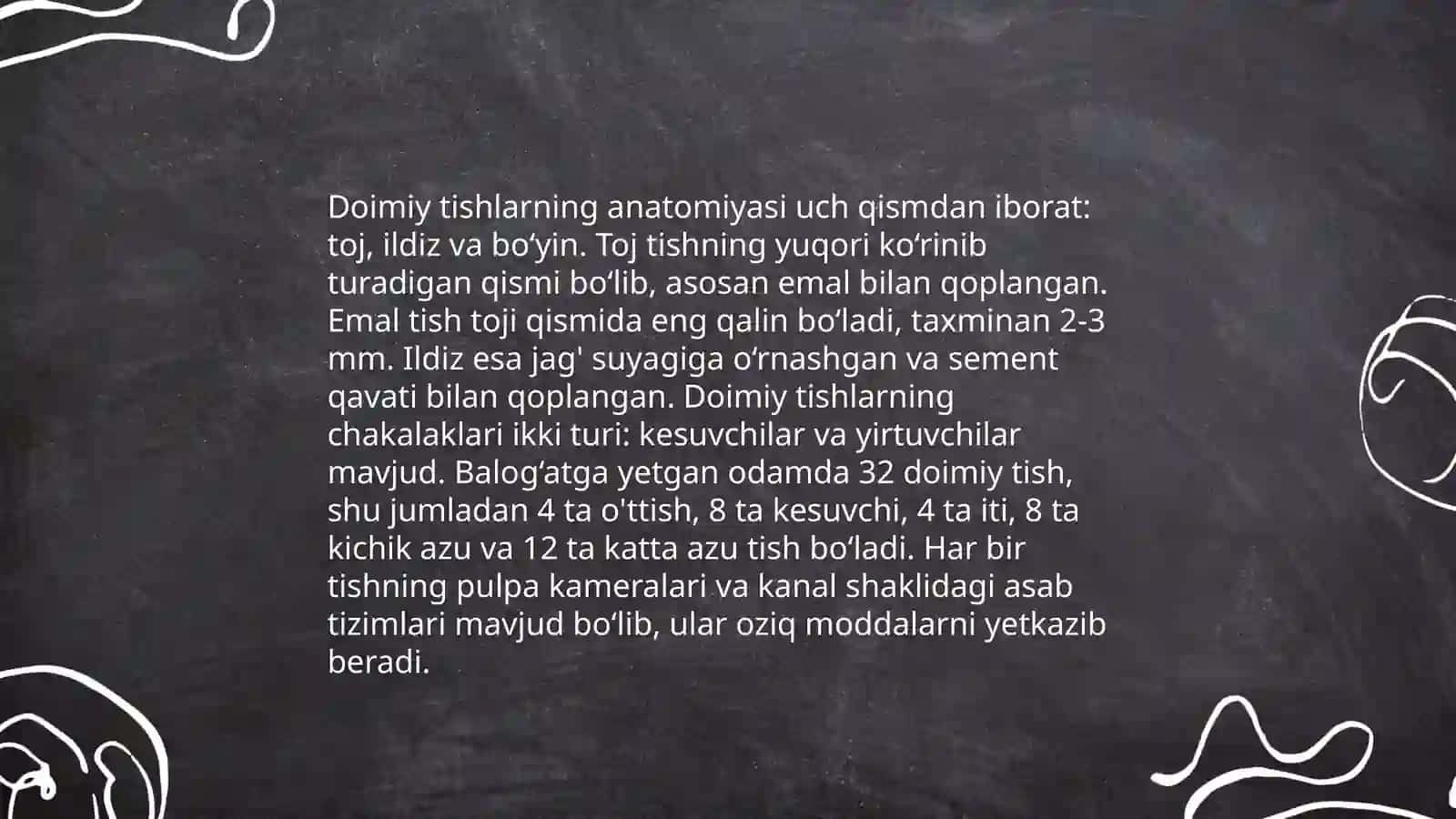 Doimiy tishlovdagi chaynov tishlarning tuzilishi 3