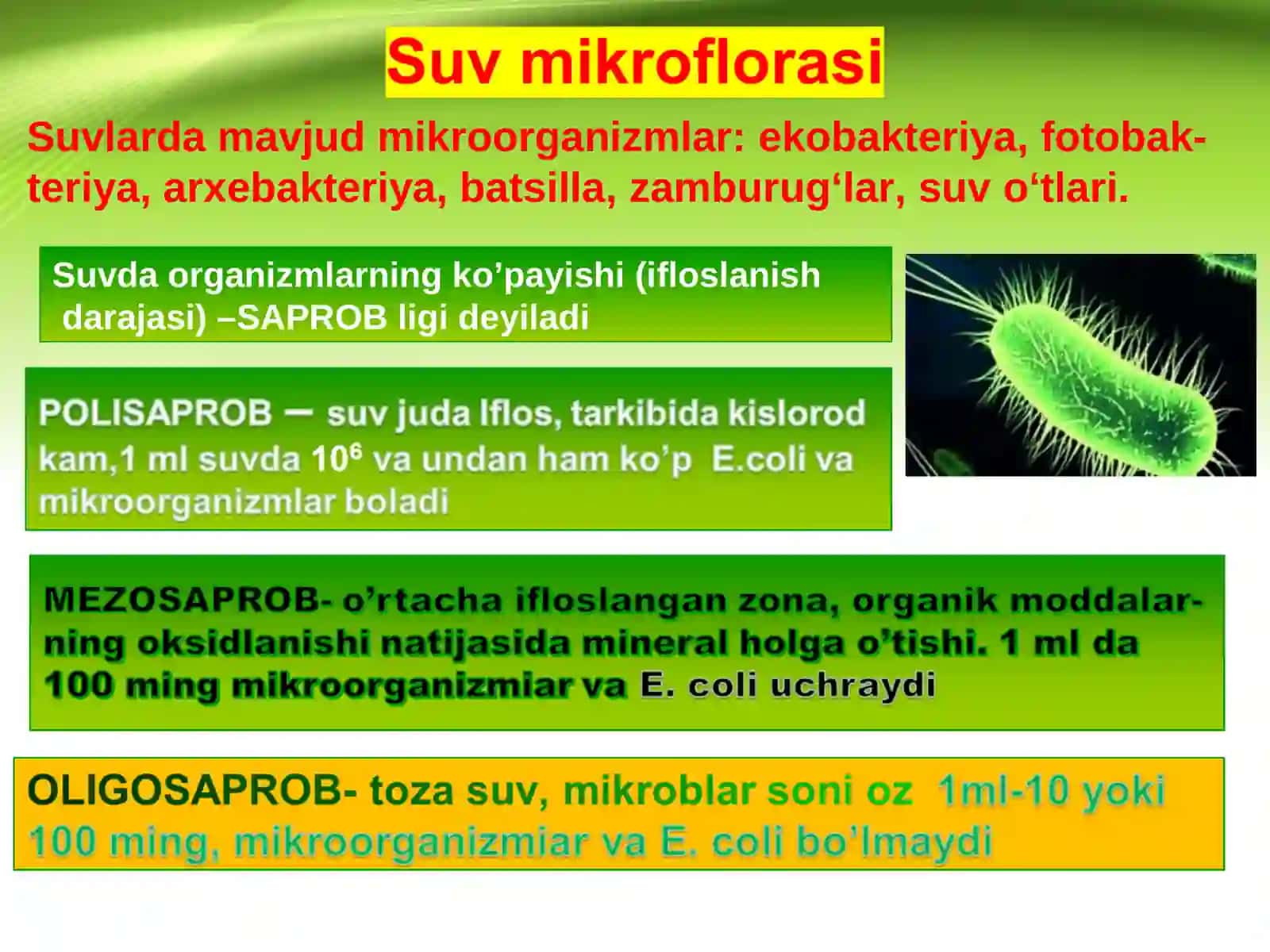 MIKROORGANIZMLAR EKOLOGIYASI. SUV, TUPROQ, HAVO MIKROFLORASI 3