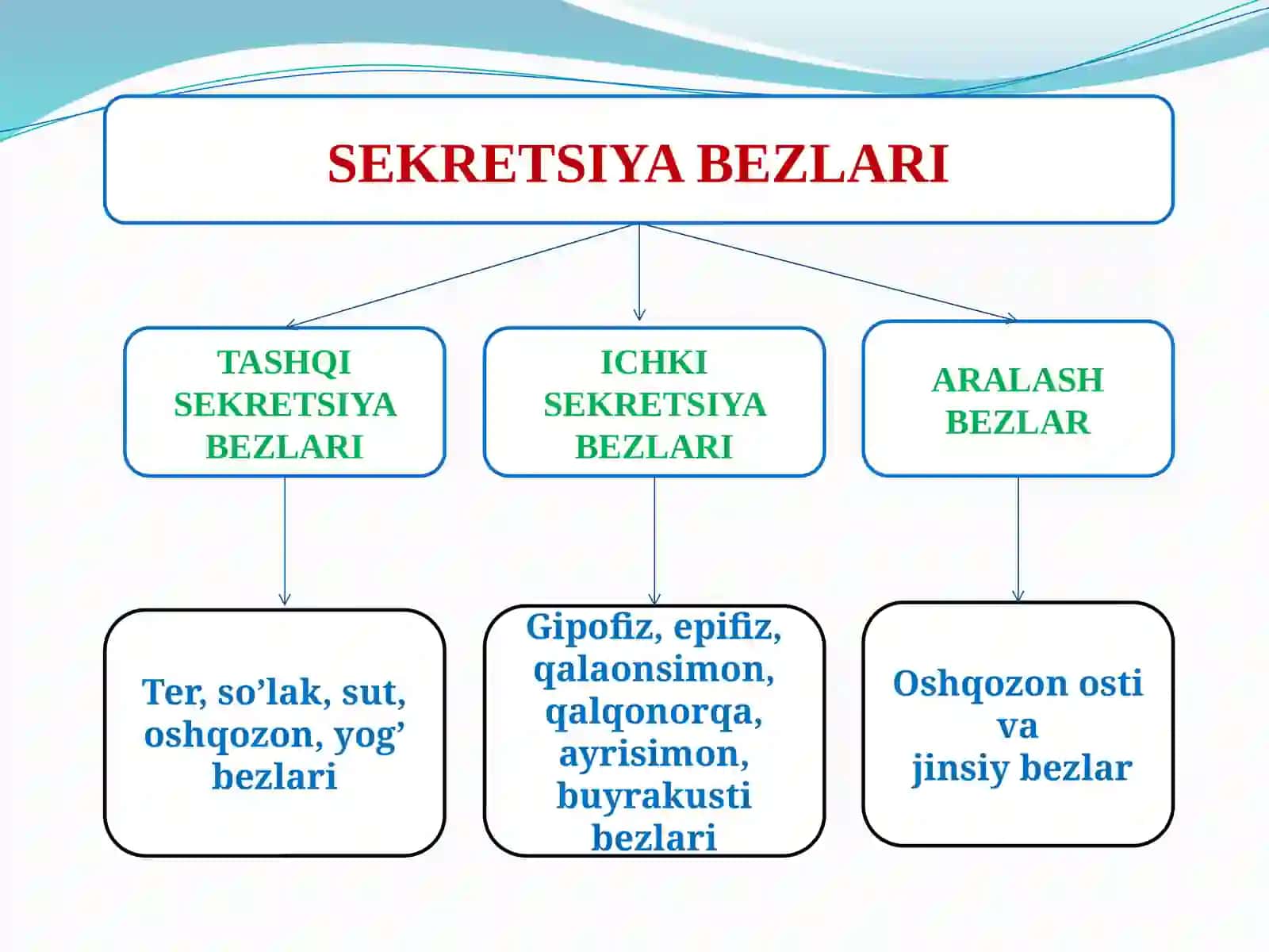 Ichki sekretsiya bezlarining yoshga bog‘liq xususiyatlari va gigiyenasi 3