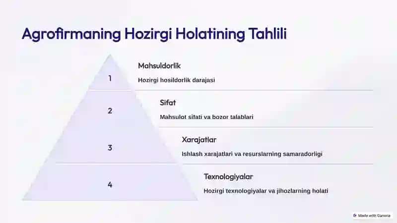 Agrofirmaning investitsiya loyihasi 3