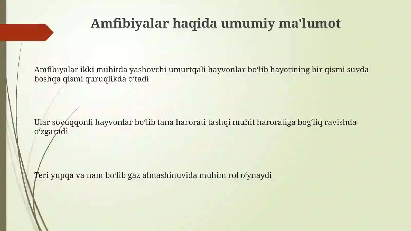 Amfibiyalarning asosiy ekologik guruhlari 3