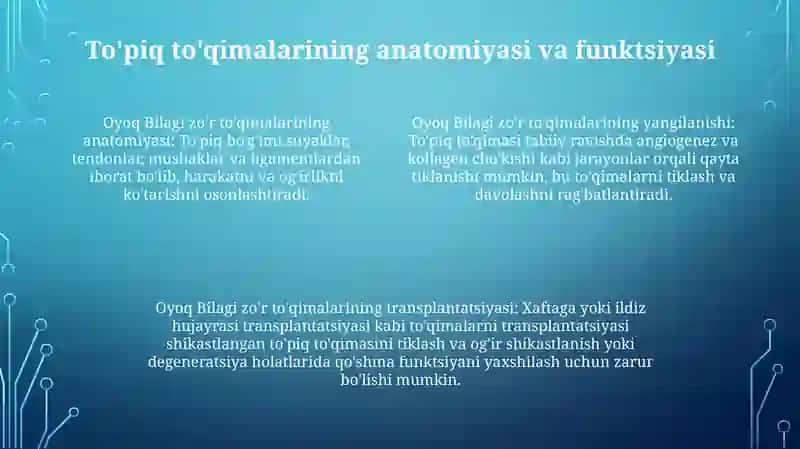 Toğay Tõqimasining Regeneratsiyasi Va Transplantatsiyasi 3