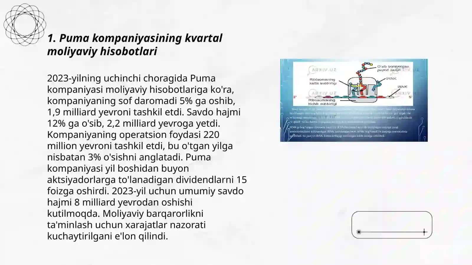Puma kompaniyasining moliyaviy koʻrsatkichlari va aksiyalari haqida 3