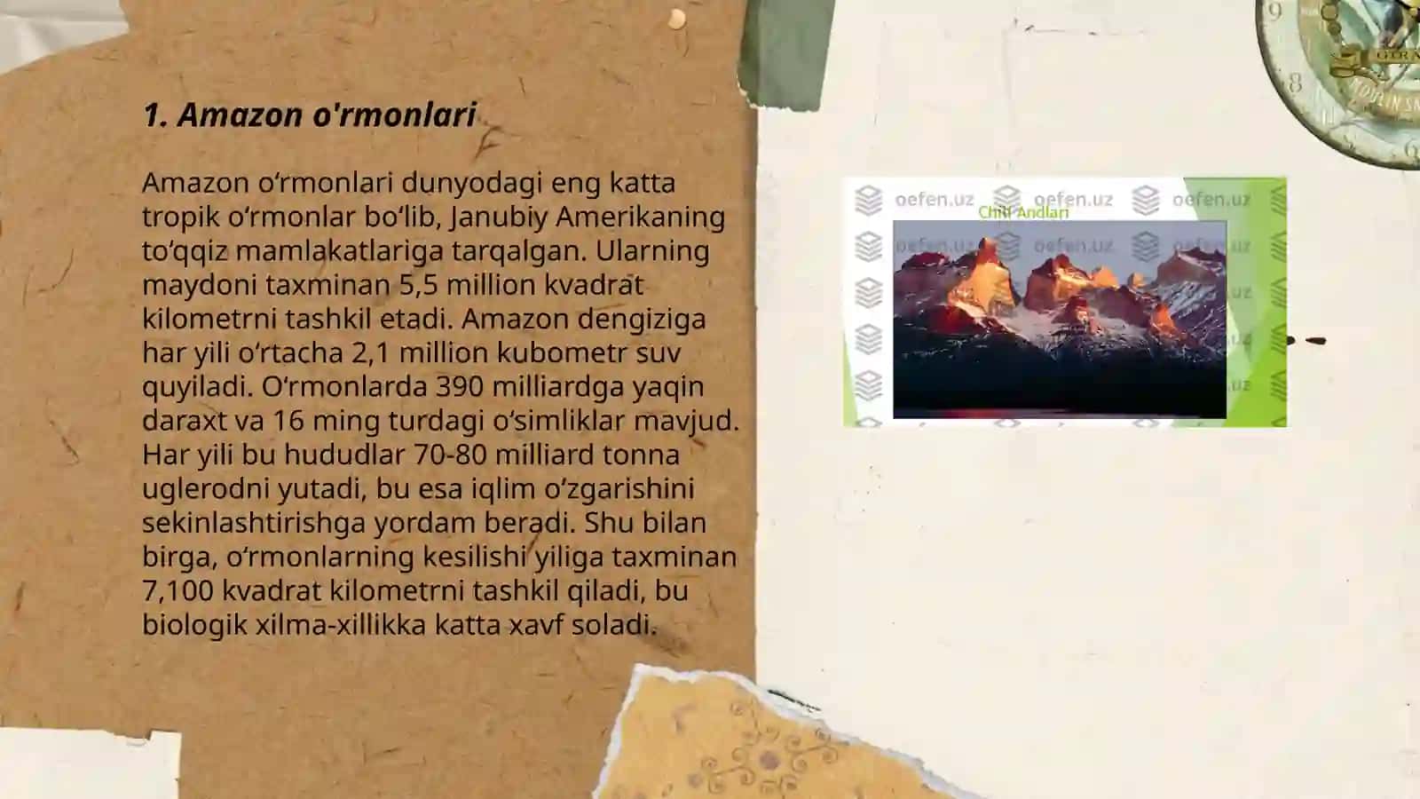 Janubiy Amerika materigining geografik mintaqalari va tabiat zonalariga tavsif berish 3