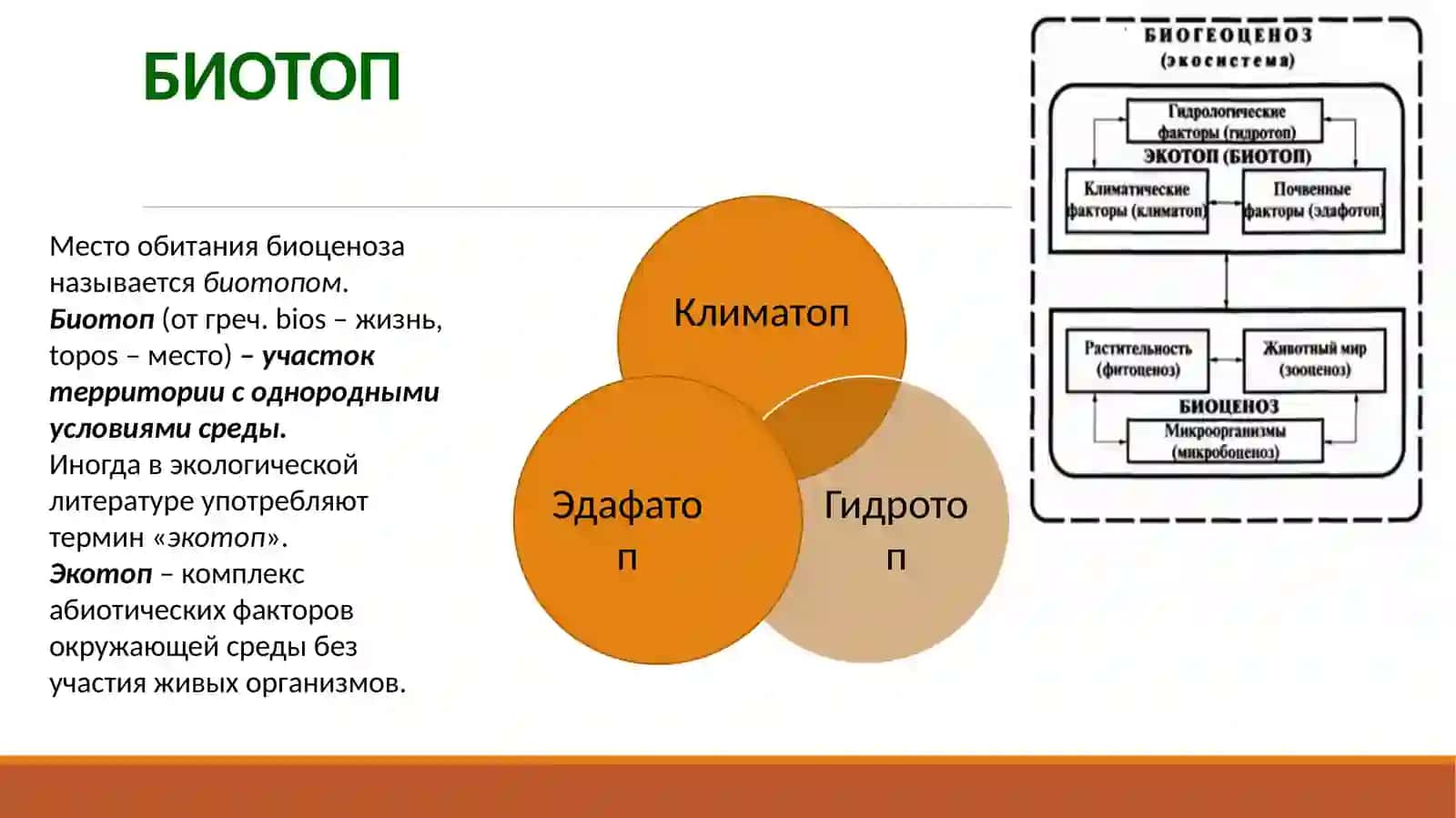 Учение о биоценозе и экосистемы 3