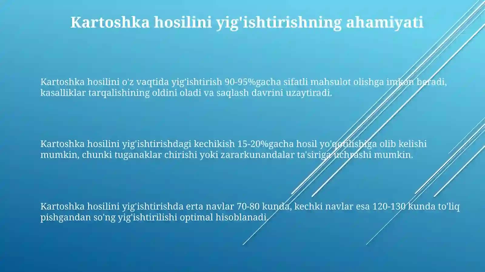 Kartoshka, sabzavot, poliz maxsulotlarini yigib-terib olish 3